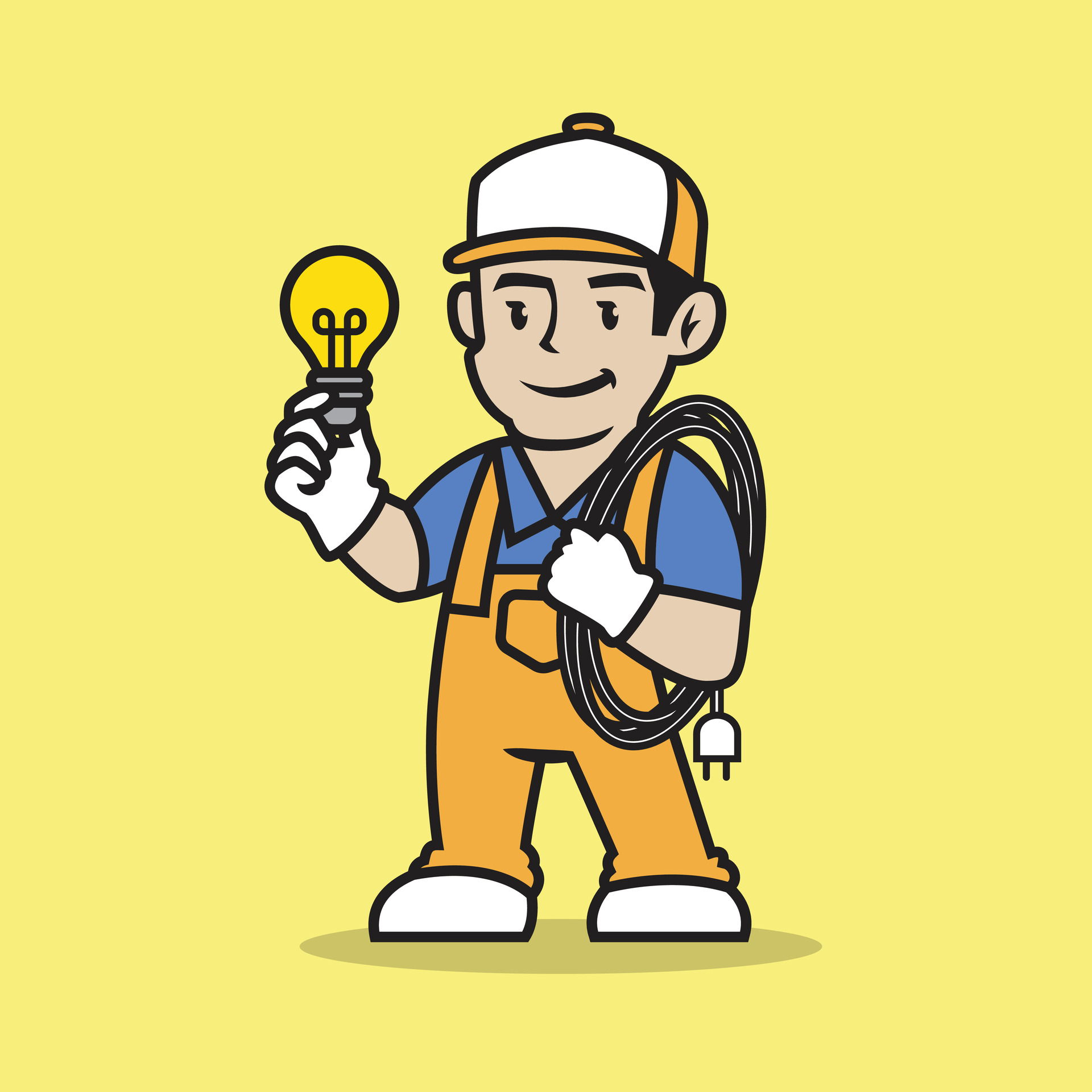 Professional Electrical Services
